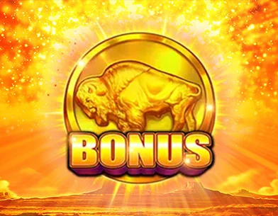 Online Slot Game with a Bonus Round